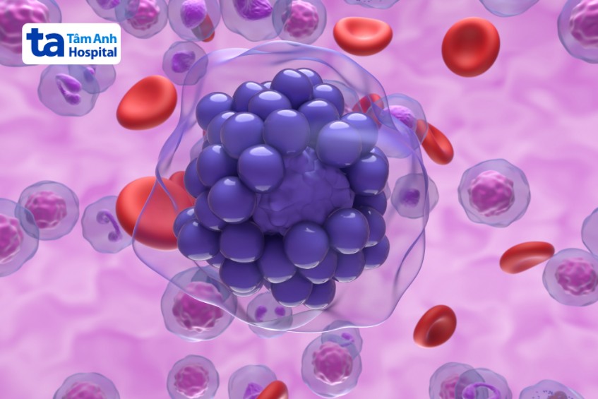 tế bào lympho b chống nhiễm trùng