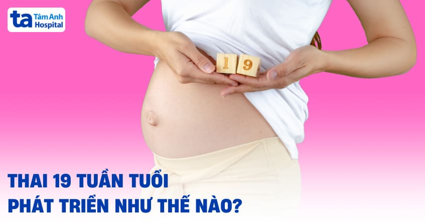 Thai 19 tuần tuổi là mấy tháng? Phát triển như thế nào?