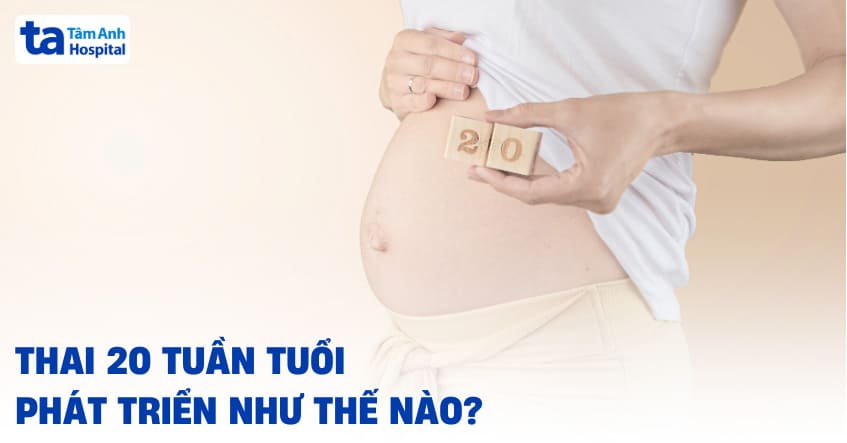 Thai 20 tuần tuổi phát triển như thế nào?