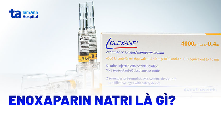 Enoxaparin Natri (Enoxaparin Sodium): Dược lý, cơ chế và chỉ định