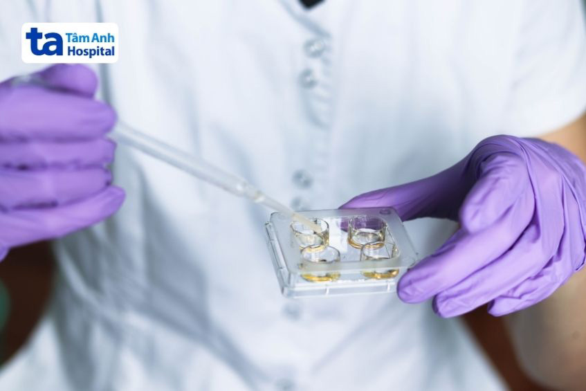 Tiêu chí đánh giá chất lượng phôi trung bình sẽ khác nhau ở từng giai đoạn