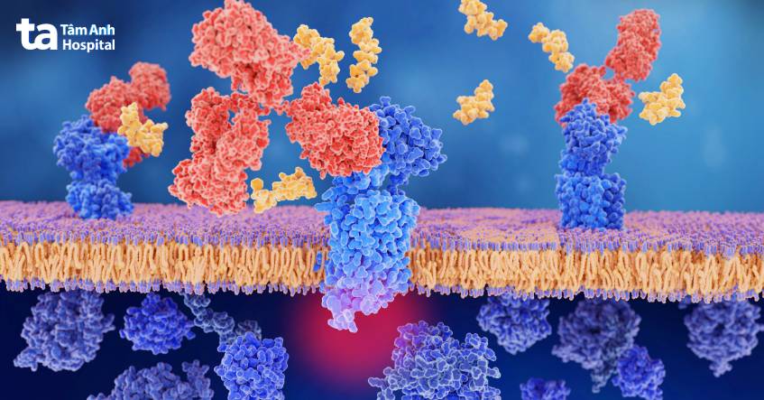 tìm sự xuất hiện của protein đơn dòng