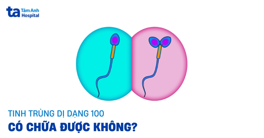 tinh trùng dị dạng 100%