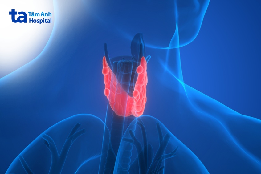 tổng quan về tình trạng hạ canxi máu