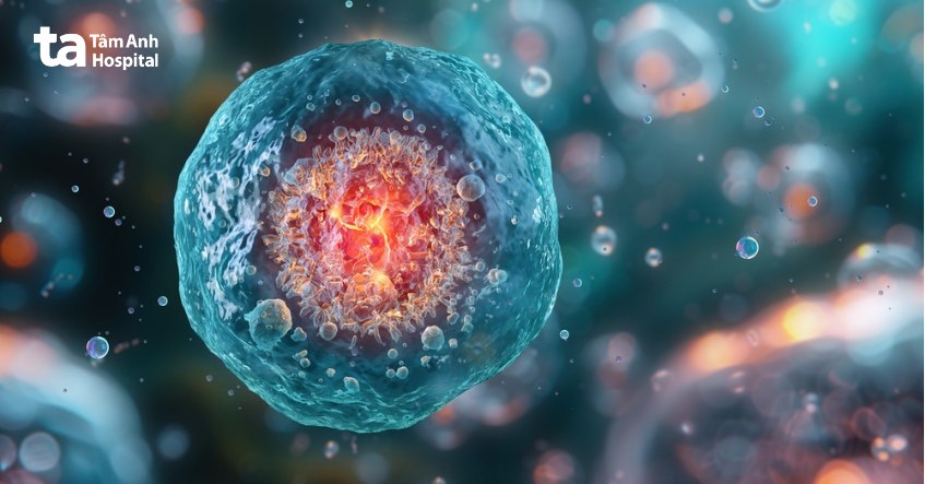 ung thư biểu mô tiết niệu