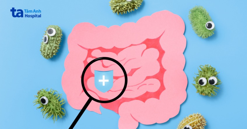 vi khuẩn đường tiêu hóa Bacillus anthraci là 1 trong nhiều nguyên nhân gây viêm cầu thận