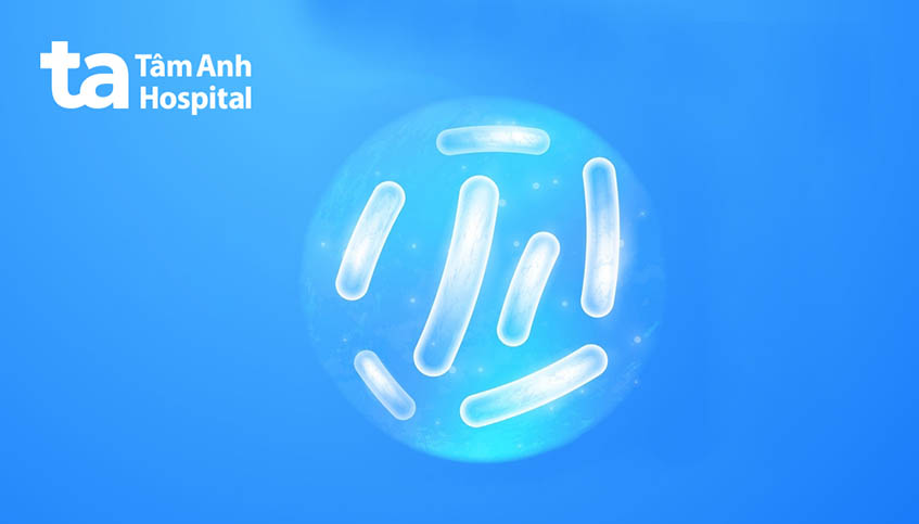 Lactobacillu gây nhiễm khuẩn tiết niệu ở nữ