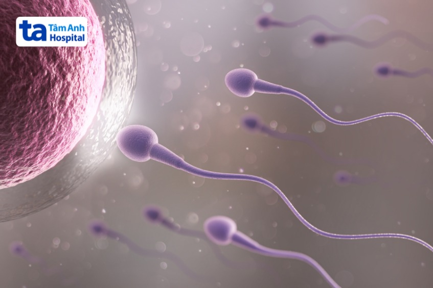 yếu tố ảnh hưởng mật độ tinh trùng
