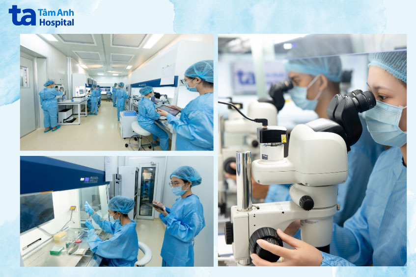 Các kỹ thuật viên phòng Lab tại IVF Tâm Anh Quận 8