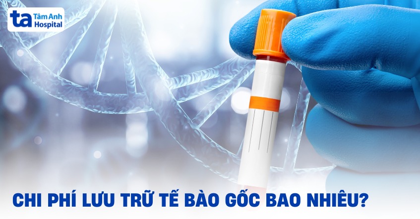 Chi phí lưu trữ tế bào gốc giá bao nhiêu tiền? Yếu tố nào ảnh hưởng?