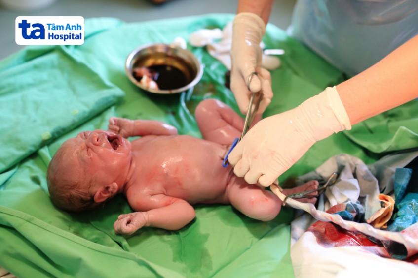 chọn lưu trữ tế bào gốc tại tphcm ở tâm anh