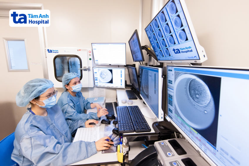 Chuyên viên phôi học IVF Tâm Anh quan sát quá trình phát triển của phôi