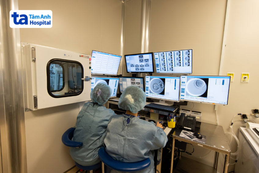 Chuyên viên phôi học quan sát và đánh giá chất lượng phôi