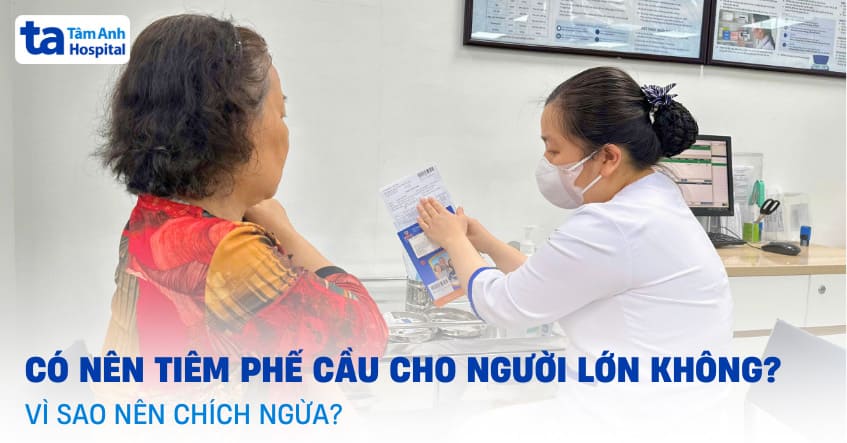 Có nên tiêm phế cầu cho người lớn không? Vì sao nên chích ngừa?