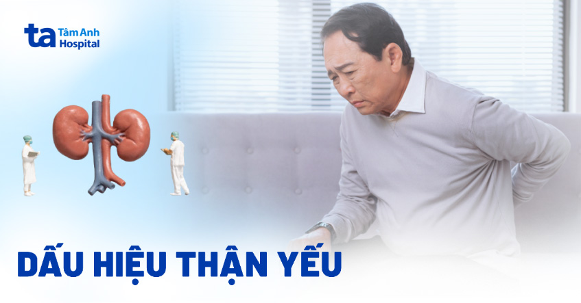 19 dấu hiệu thận yếu: Nguyên nhân và cách chẩn đoán bệnh