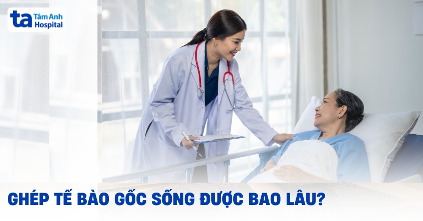Ghép tế bào gốc sống được bao lâu? Tiên lượng như thế nào?