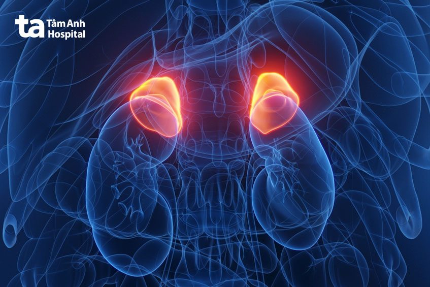 giai đoạn ung thư phổi di căn thượng thận