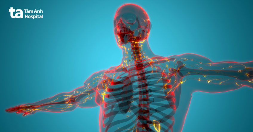 hạch phân bố khắp nơi trên cơ thể