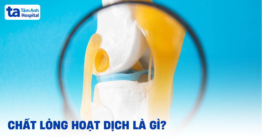 Chất lỏng hoạt dịch khớp là gì? Đóng vai trò như thế nào?