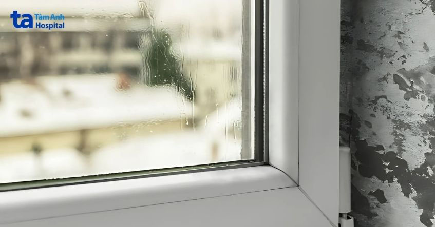 Môi trường ẩm thuận lợi cho nấm da phát triển