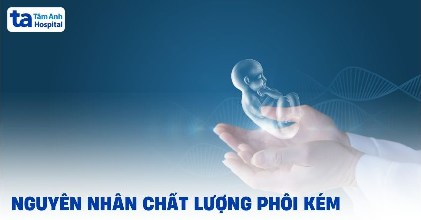 7 nguyên nhân chất lượng phôi kém trong thụ tinh ống nghiệm IVF