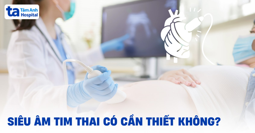 Siêu âm tim thai nhi