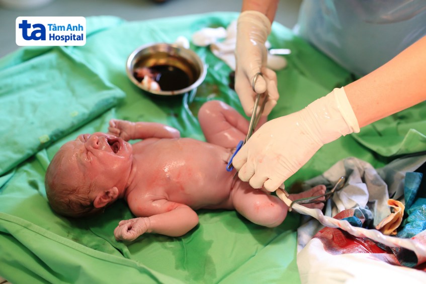 sức khỏe trẻ cần đảm bảo khi thu thập lưu trữ tế bào gốc