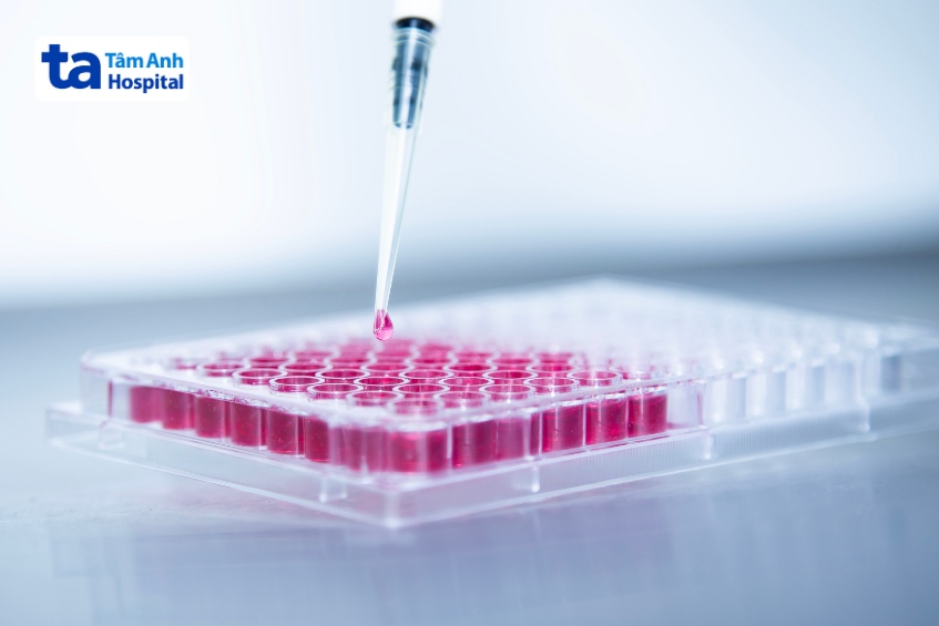 thu thập tế bào gốc từ máu ngoại vi