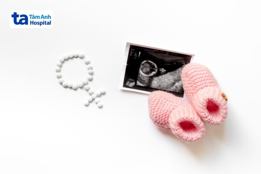 Thụ tinh nhân tạo là phương pháp hỗ trợ sinh sản thường chỉ định cho người vô sinh