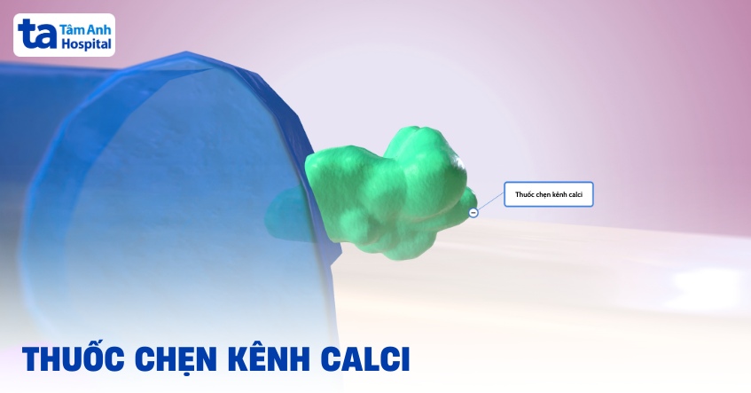 Thuốc chẹn kênh calci điều trị tăng huyết áp: Cơ chế, công dụng