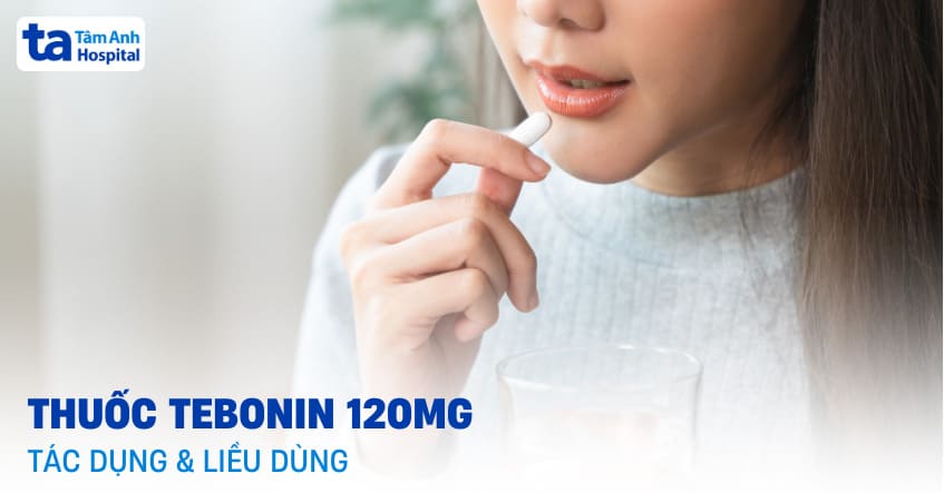 Thuốc Tebonin 120mg