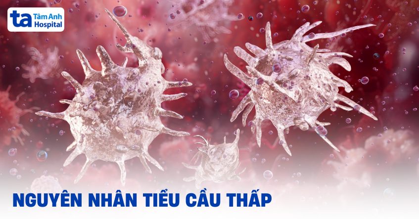 tiểu cầu thấp