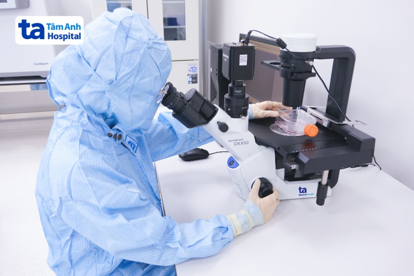 trung tâm tế bào gốc và ngân hàng mô tâm anh