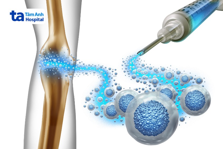 tủy xương giàu tế bào gốc tạo máu