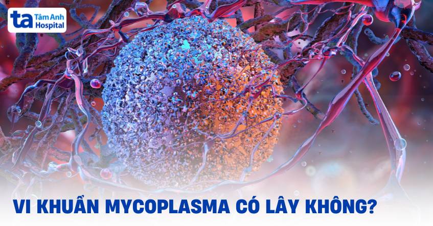 Vi khuẩn Mycoplasma có lây không