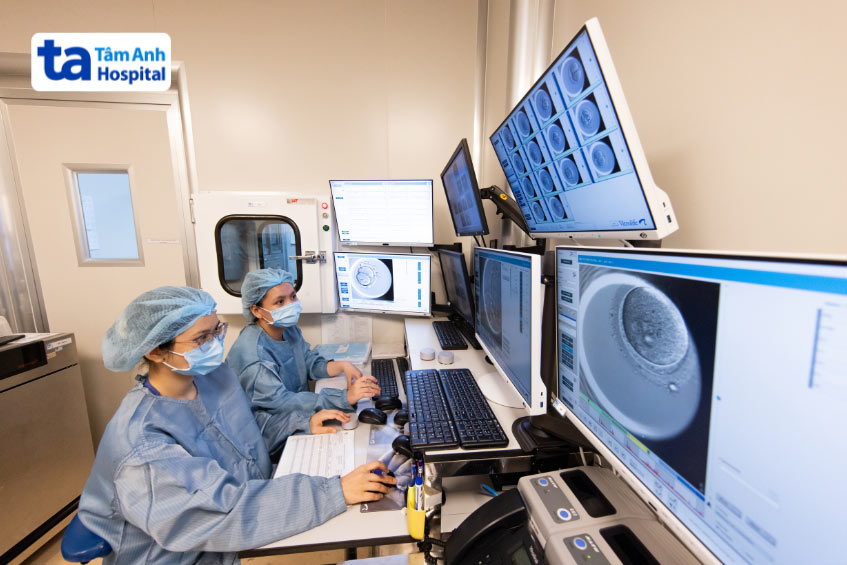 Chuyên viên phôi học quan sát tiến trình phôi phát triển và đánh giá chất lượng phôi