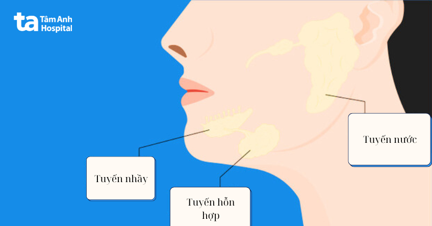 Nguyên nhân gây nang nhái sàn miệng