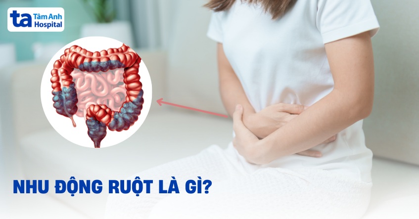 Nhu động ruột là gì? Vai trò và bao nhiêu lần trên phút?