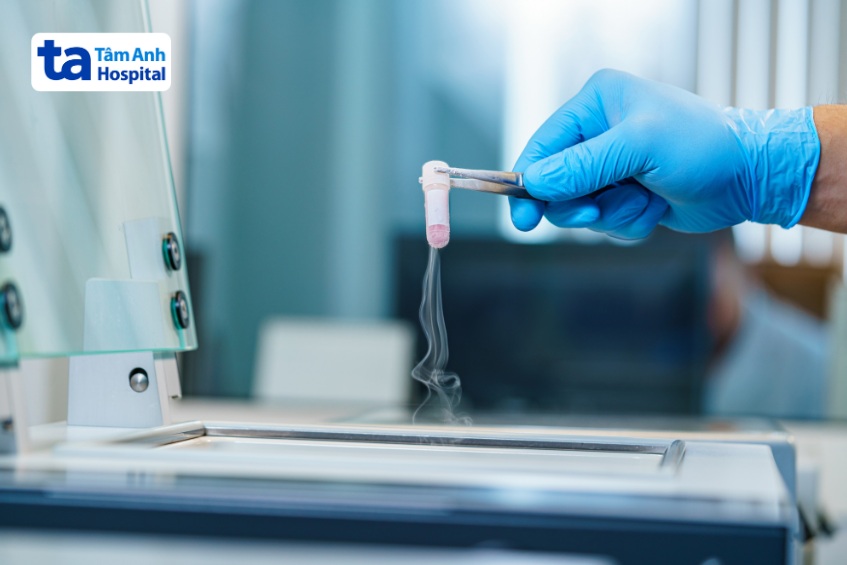 tế bào gốc được cân nhắc điều trị nhiều bệnh lý