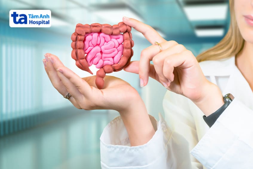 thuốc được hấp thụ nhanh chóng ở đoạn đầu của ruột non