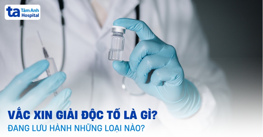 Vaccine giải độc tố là gì? Đang lưu hành những loại nào hiện nay?