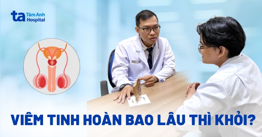 Viêm tinh hoàn bao lâu thì khỏi? Có tự khỏi được không? [Giải đáp]