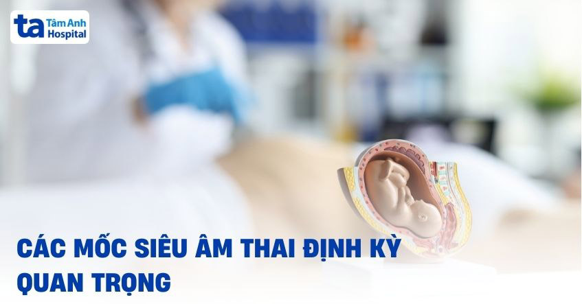 Các mốc khám thai 3 tháng đầu quan trọng: Quy trình và mục đích