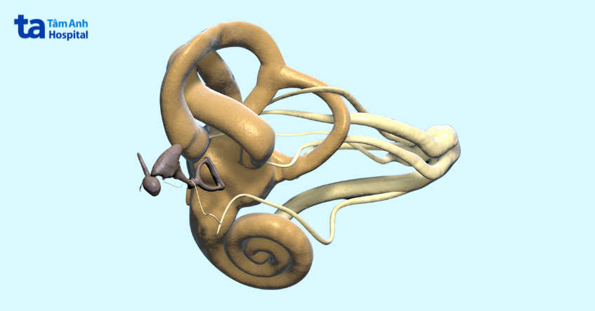 cách chữa tai điếc, Phẫu thuật thay thế xương bàn đạp