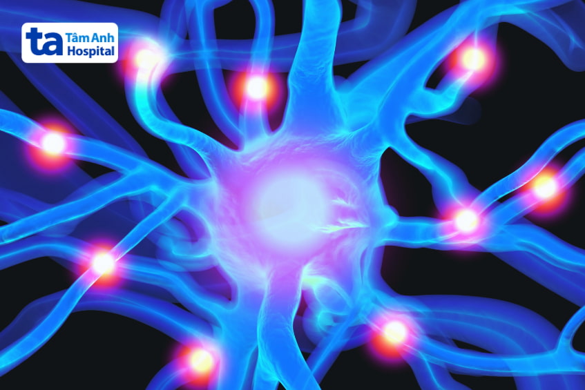 cách hệ thần kinh trung ương hoạt động