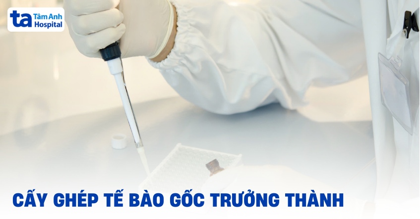 Cấy ghép tế bào gốc trưởng thành: Quy trình & phương pháp thực hiện
