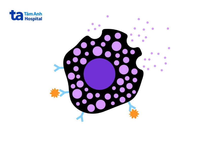 hàng trăm hạt bao quanh nhân tế bào