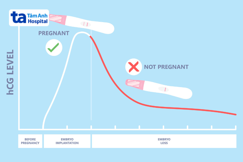 Nếu kết quả xét nghiệm beta ngày 10 không khả quan, chị em nên tham khảo hướng dẫn từ bác sĩ