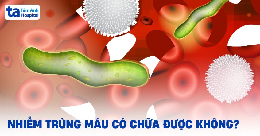 Nhiễm trùng máu có chữa được không? Một số lưu ý phòng ngừa bệnh