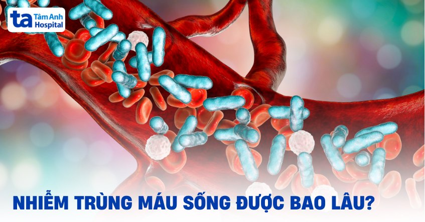 Nhiễm trùng máu sống được bao lâu? Yếu tố ảnh hưởng cần lưu ý